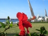 Aswan_0071.jpg