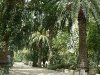 Kartagen_0065.jpg