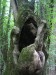 хралупа