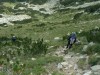 Спускане през морени и клекове от връх Безбог